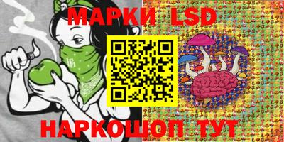 гидра Дубна