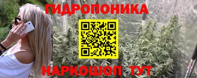 гидра Дубна